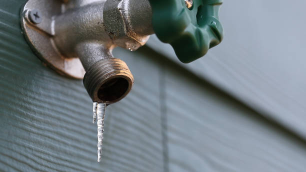 Best Plumbing Inspection Services  in Ellerslie, GA